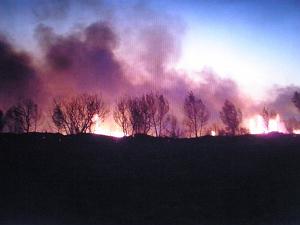 2015 08 LES INCENDIES (3)